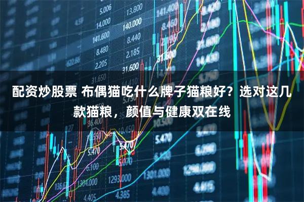 配资炒股票 布偶猫吃什么牌子猫粮好？选对这几款猫粮，颜值与健康双在线