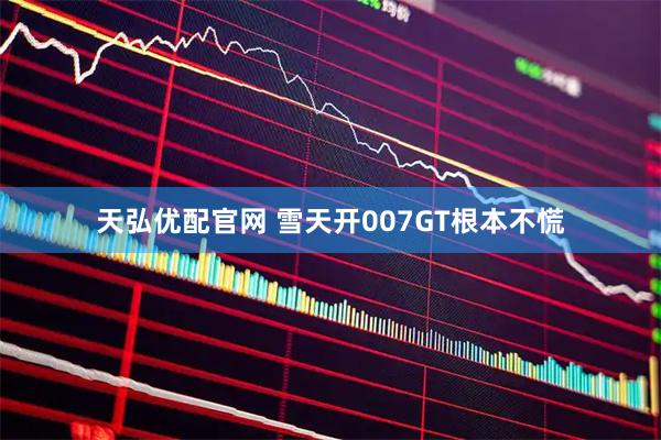 天弘优配官网 雪天开007GT根本不慌