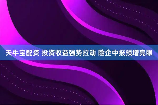 天牛宝配资 投资收益强势拉动 险企中报预增亮眼